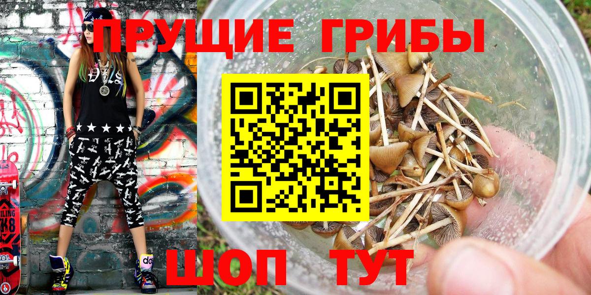 Северск  Галлюциногенные грибы MAGIC MUSHROOMS  Вход с VPN 
